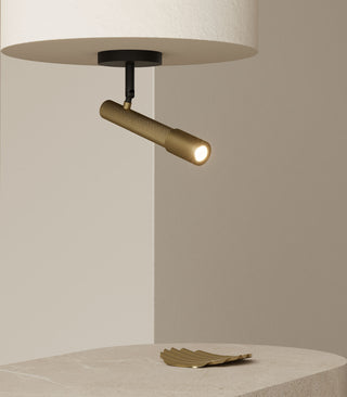 Ycro Ceiling Light