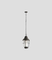 Chance Harbor Lantern Pendant Light