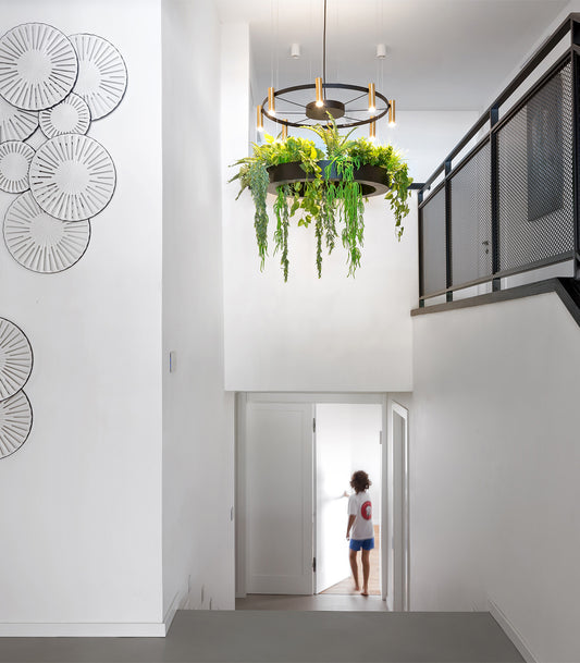 Laverd 16lt Chandelier