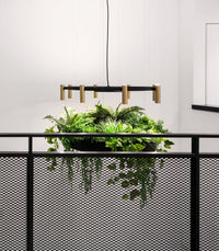 Laverd 16lt Chandelier