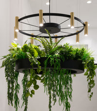 Laverd 16lt Chandelier