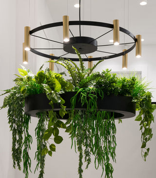 Laverd 16lt Chandelier