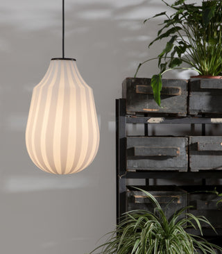 Circus Pendant Light