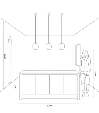 Parlour Curve Pendant Light