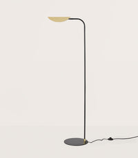 Ficus Floor Lamp