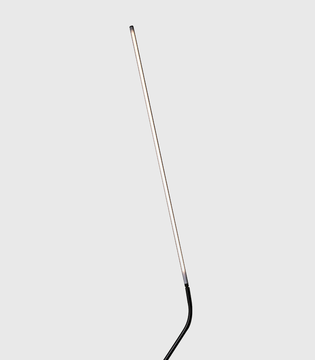 Neo Floor/Wall Light