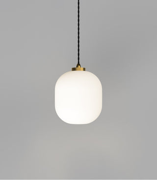 Parlour Curve Pendant Light