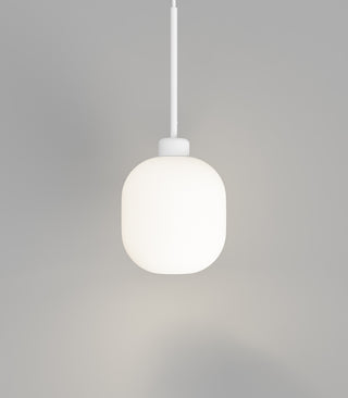 Parlour Lite Curve Pendant Light