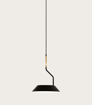 Aider Pendant Light