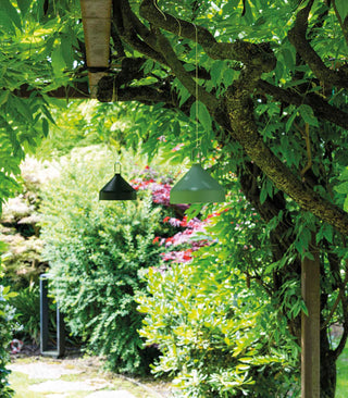 Amelie Pendant Light