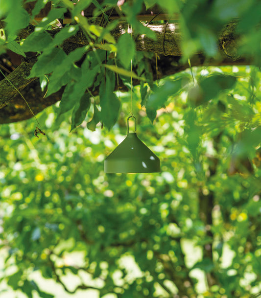 Amelie Pendant Light