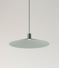 Belt Pendant Light