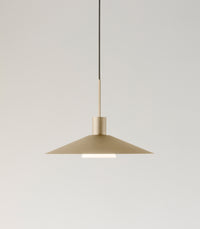 Belt Pendant Light