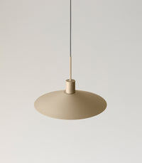 Belt Pendant Light