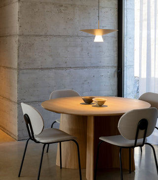 Belt Pendant Light
