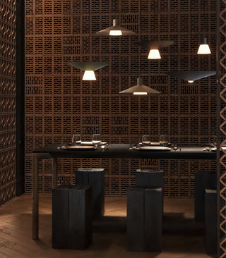 Belt Pendant Light