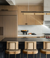 Colt Linear 5lt Pendant Light