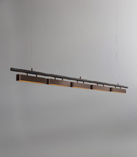 Colt Linear 5lt Pendant Light