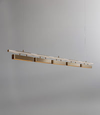 Colt Linear 5lt Pendant Light