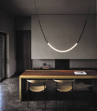 Leda Curve Pendant Light