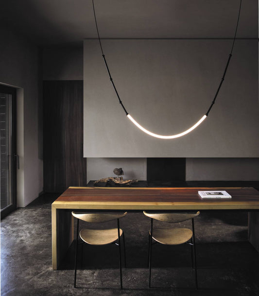 Leda Curve Pendant Light