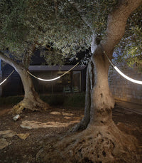 Leda Outdoor Curve Pendant Light