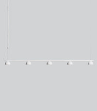 Blush Rail 5lt Pendant Light
