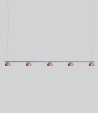 Blush Rail 5lt Pendant Light