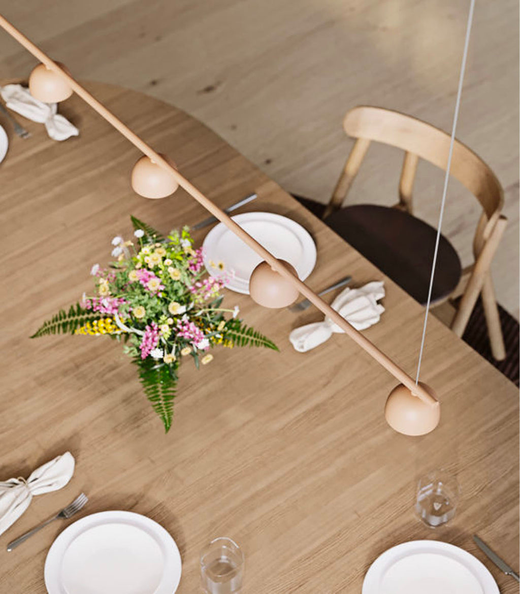 Blush Rail 5lt Pendant Light