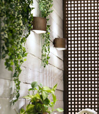 Decori Arc Wall Light