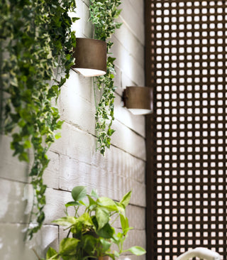 Decori Arc Wall Light