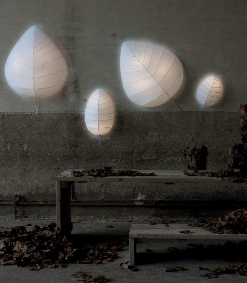 Eden Ceiling/Wall Light