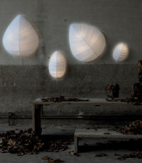 Eden Ceiling/Wall Light