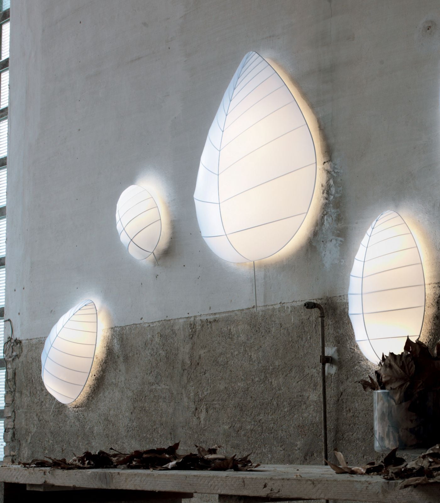 Eden Ceiling/Wall Light