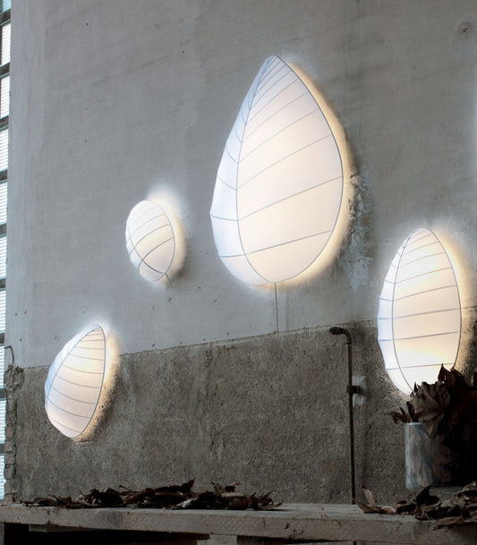 Eden Ceiling/Wall Light