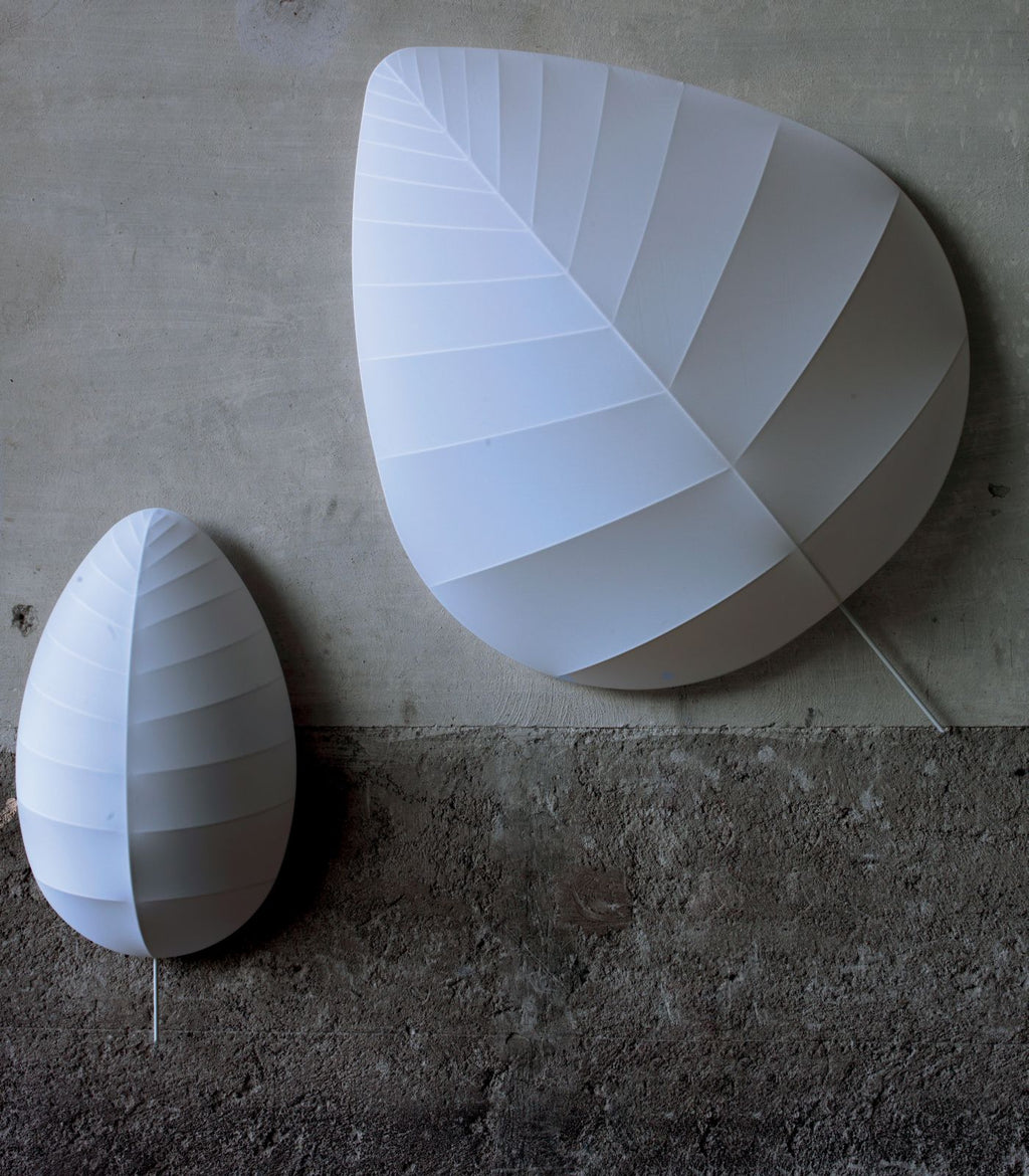 Eden Ceiling/Wall Light