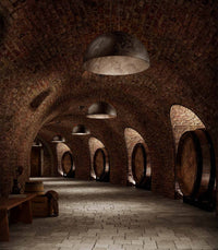 Galileo Pendant Light