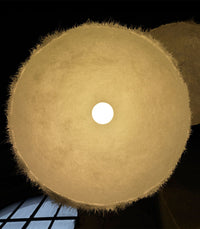 Plancton Pendant Light