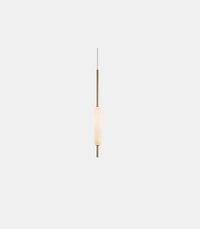 Typha Pendant Light