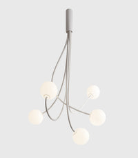 Moony 5lt Pendant Light