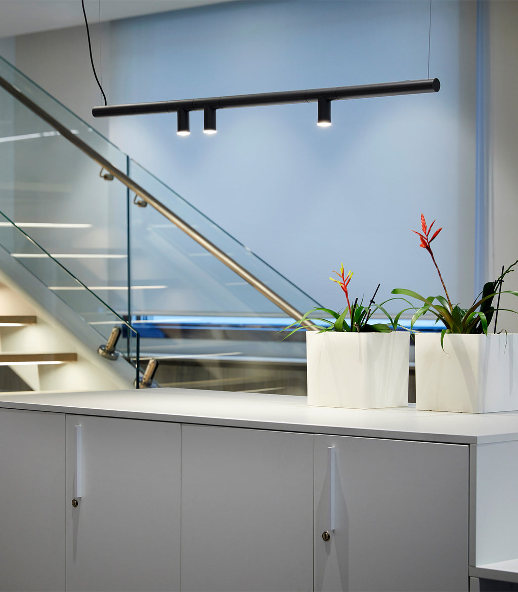 Morse Linear Pendant Light