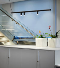 Morse Linear Pendant Light