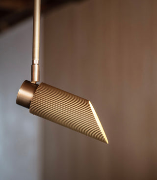 Spot Pro Ceiling Light