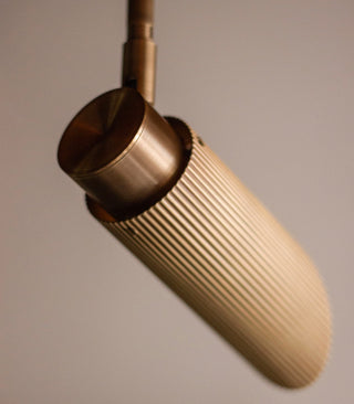 Spot Pro Ceiling Light