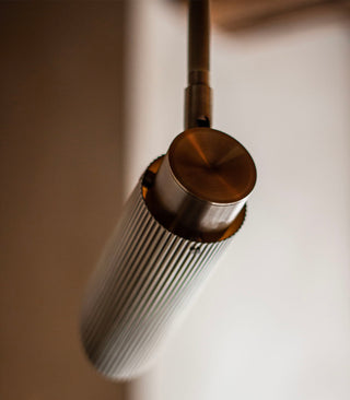 Spot Pro Ceiling Light