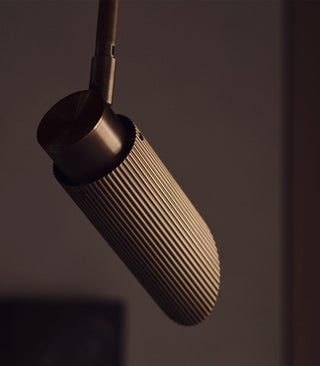 Spot Pro Ceiling Light