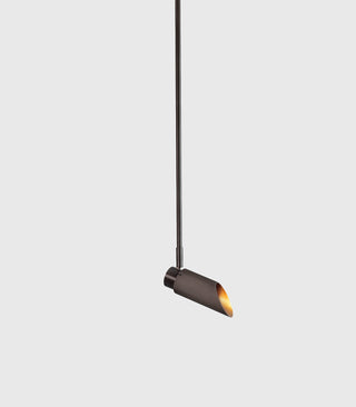 Spot Pro Ceiling Light