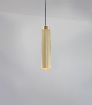 Spot Pro Pendant Light