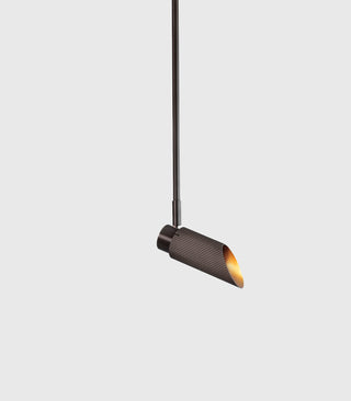 Spot Pro Ceiling Light