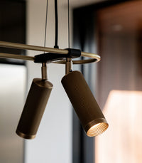 Spot 8lt Pendant Light